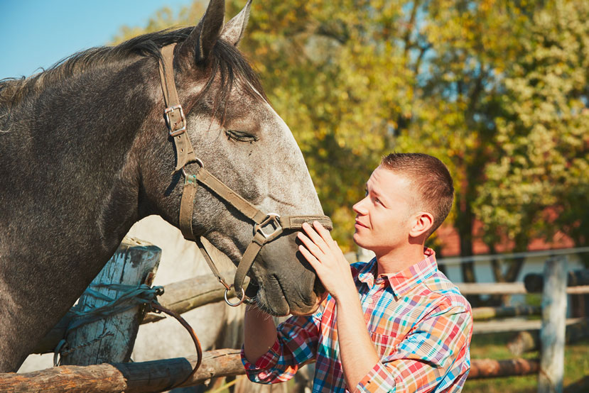 Equine Assisted Therapy in Tecumseh, OK